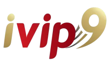 ivip9 logo